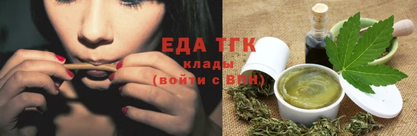 СК Вязьма