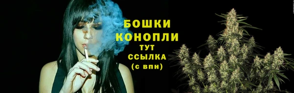 СК Вязьма
