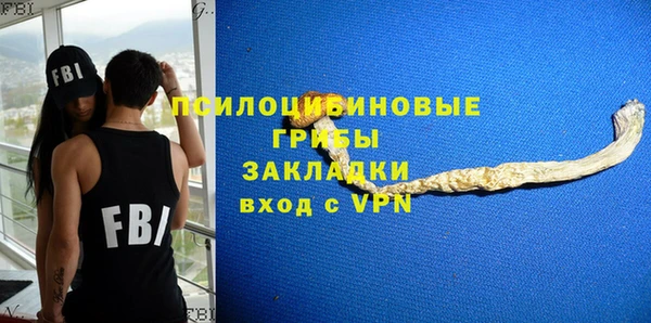 твердый Вязники
