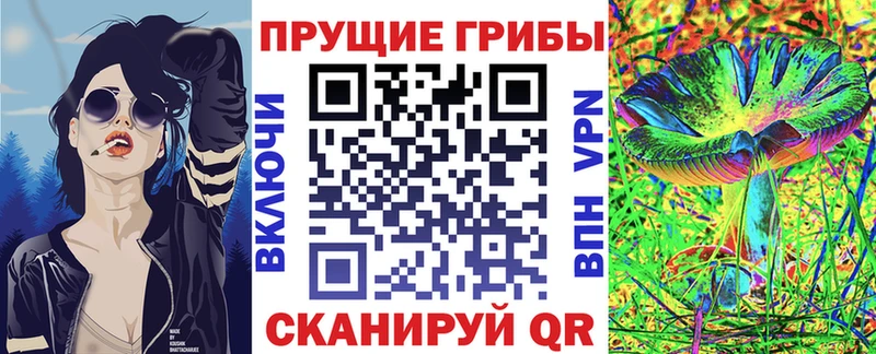 Псилоцибиновые грибы Psilocybe  Псков 